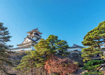 【Top 5】Kochi Sightseeing Spots and the Tips for walking around the city