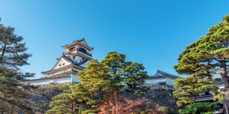 【Top 5】Kochi Sightseeing Spots and the Tips for walking around the city