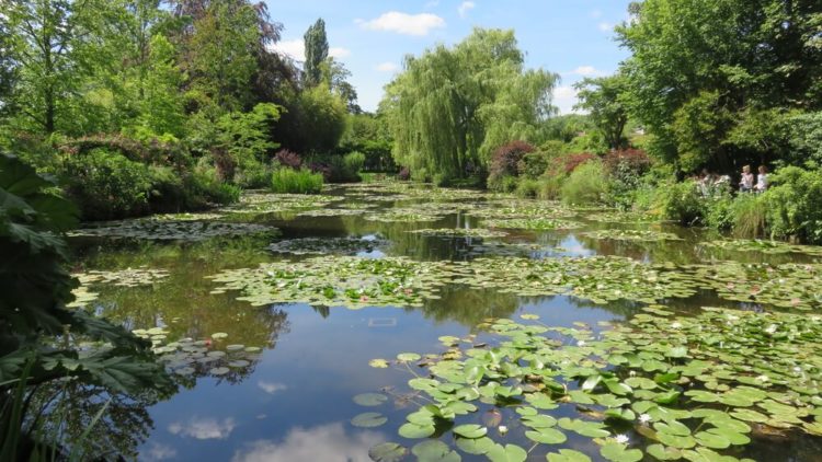 【Top 5】Kochi Sightseeing Spots and the Tips for walking around the city