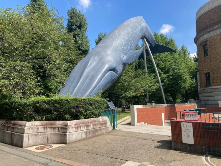 【完全保存版】何度でも行きたい！家族で楽しめる東京のおすすめスポット12選