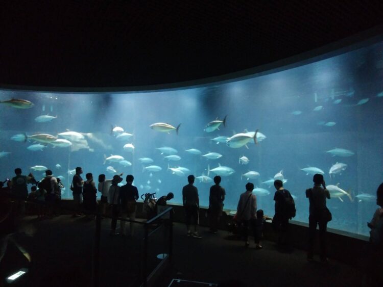 【完全保存版】何度でも行きたい！家族で楽しめる東京のおすすめスポット12選