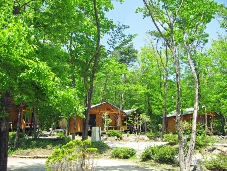 【最新版】関東近郊でおすすめのキャンプ場14選（初心者でも楽しめる）