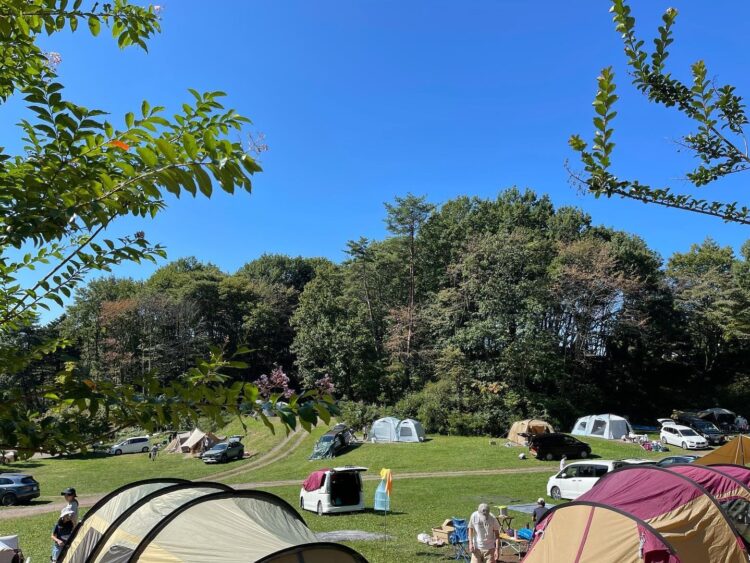 【最新版】関東近郊でおすすめのキャンプ場14選（初心者でも楽しめる）