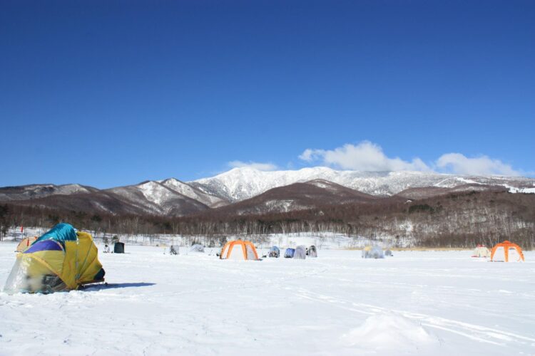 【最新版】関東近郊でおすすめのキャンプ場14選（初心者でも楽しめる）