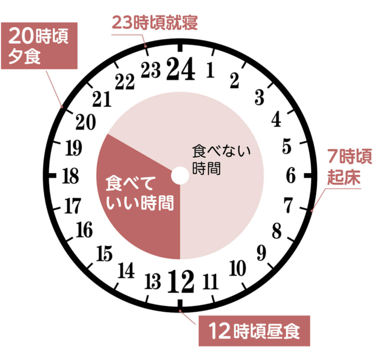 【最新版】話題のオートファジー ダイエットの効果とメリットは！？