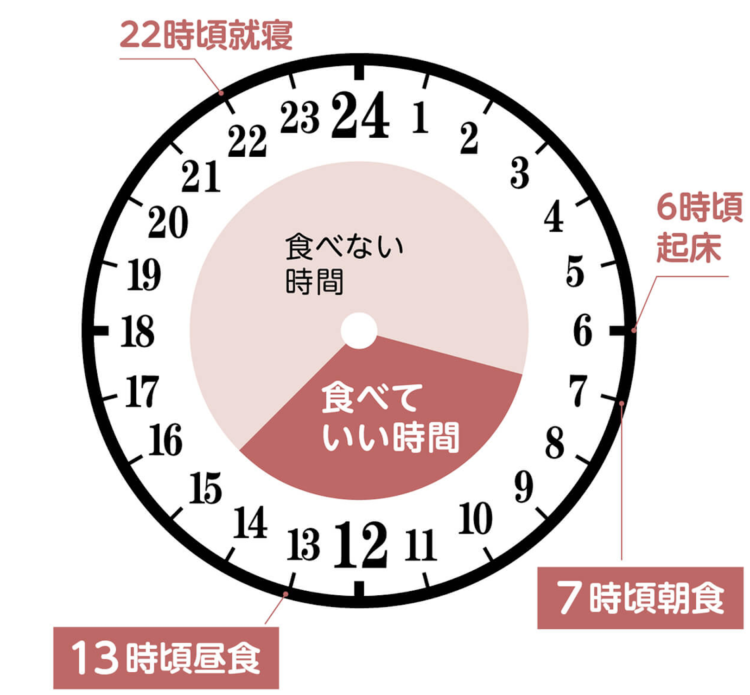 【最新版】話題のオートファジー ダイエットの効果とメリットは！？