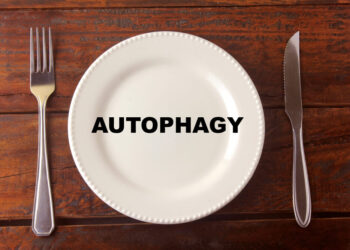 【最新版】話題のオートファジー ダイエットの効果とメリットは！？