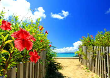 【最新版】沖縄移住がしたい！移住費用や失敗しやすいポイントを解説