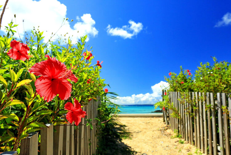 【最新版】沖縄移住がしたい！移住費用や失敗しやすいポイントを解説