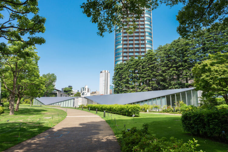 【安藤忠雄建築15選】世界で評価される国内外の建築作品を解説