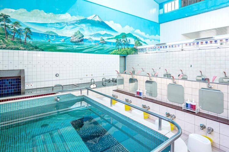 【2025年最新版】錦糸町サウナのおすすめ6選と効果の徹底解説！