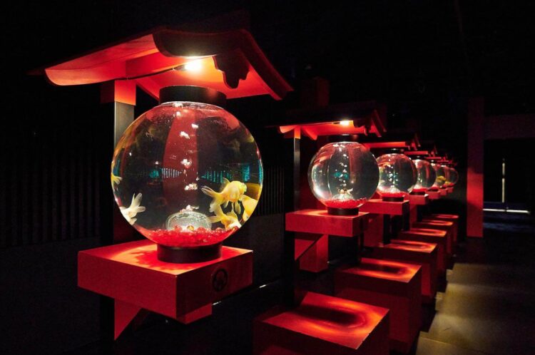 【幻想的な水中芸術の世界】アートアクアリウム美術館GINZAの魅力