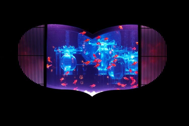 【幻想的な水中芸術の世界】アートアクアリウム美術館GINZAの魅力