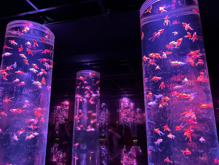 【幻想的な水中芸術の世界】アートアクアリウム美術館GINZAの魅力