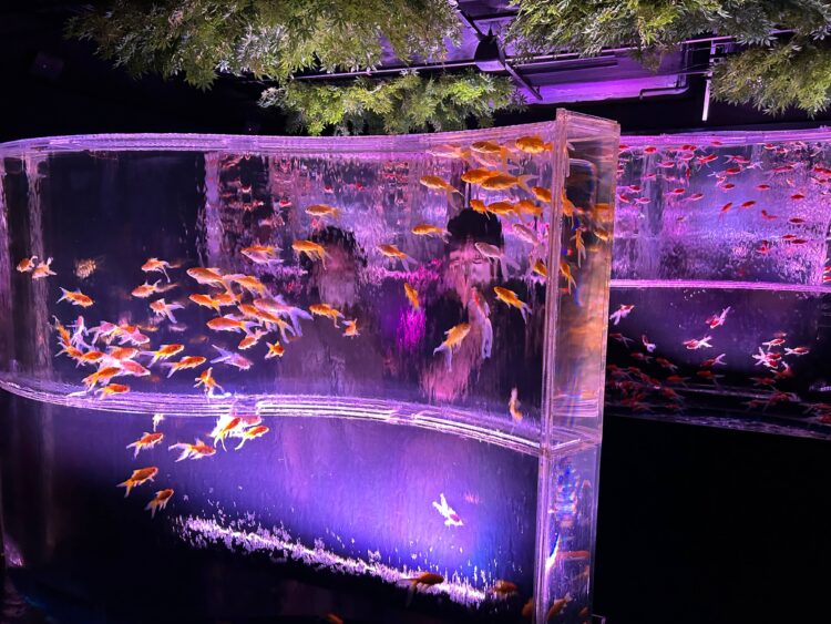 【幻想的な水中芸術の世界】アートアクアリウム美術館GINZAの魅力
