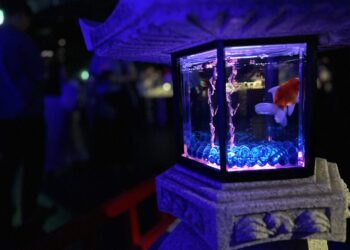 【幻想的な水中芸術の世界】アートアクアリウム美術館GINZAの魅力