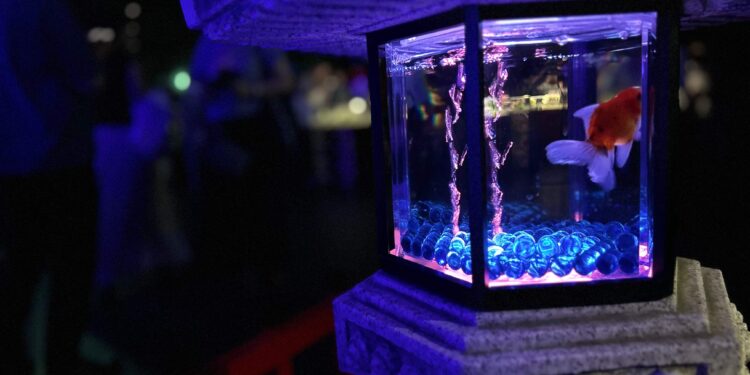 【幻想的な水中芸術の世界】アートアクアリウム美術館GINZAの魅力