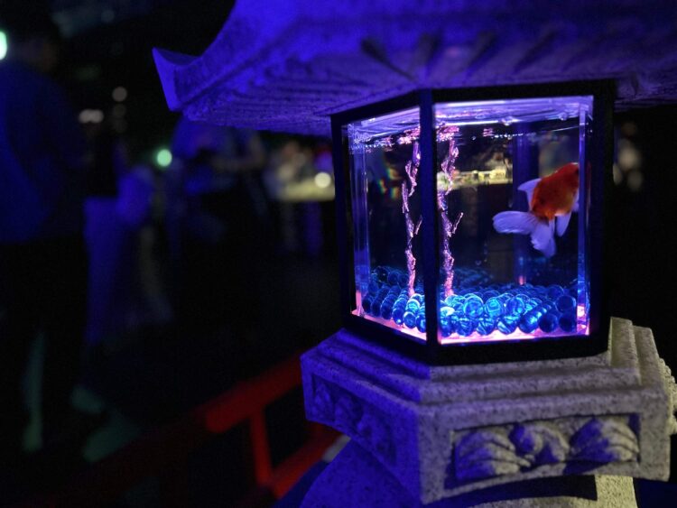 【幻想的な水中芸術の世界】アートアクアリウム美術館GINZAの魅力