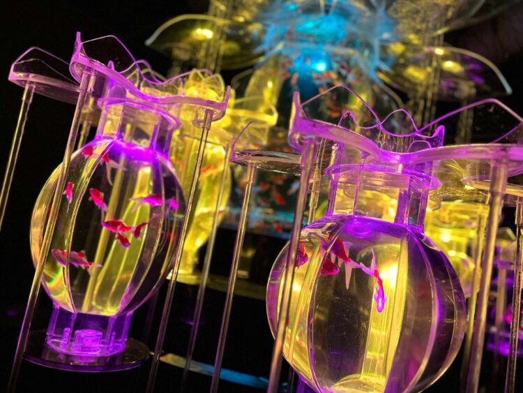 【幻想的な水中芸術の世界】アートアクアリウム美術館GINZAの魅力