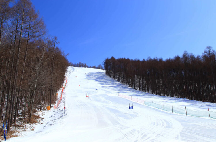 【厳選8選】軽井沢観光で絶対に訪れるべき観光スポットと街歩きのコツ