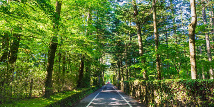 【厳選8選】軽井沢観光で絶対に訪れるべき観光スポットと街歩きのコツ