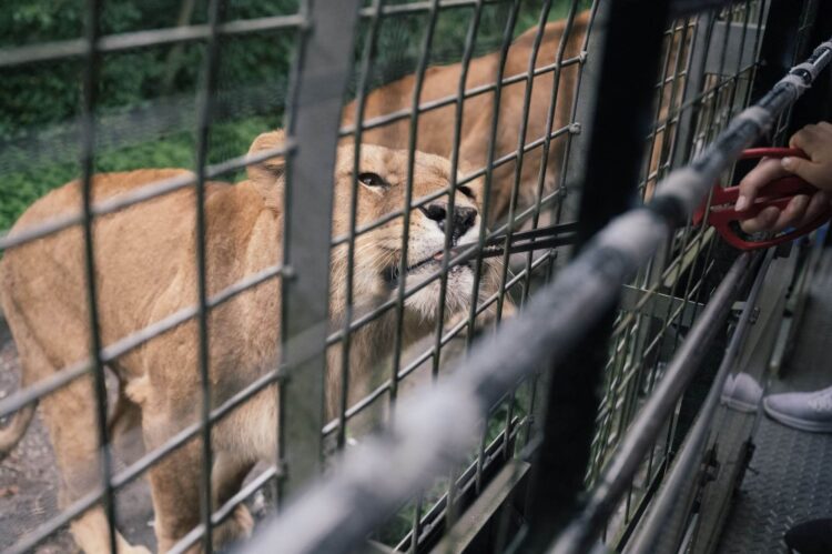 【厳選13選】静岡観光で絶対に訪れるべき観光スポットと街歩きのコツ