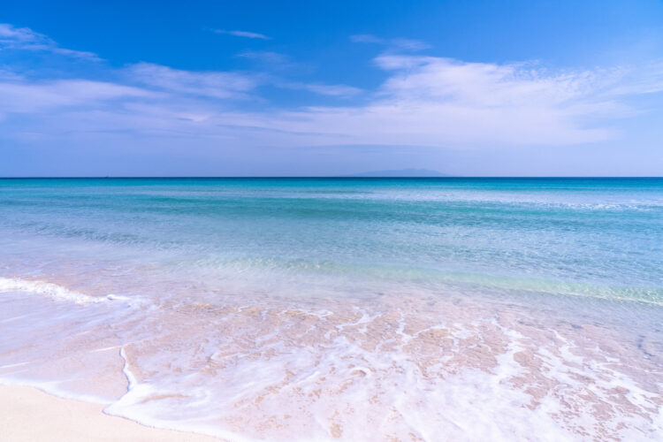 【厳選13選】静岡観光で絶対に訪れるべき観光スポットと街歩きのコツ