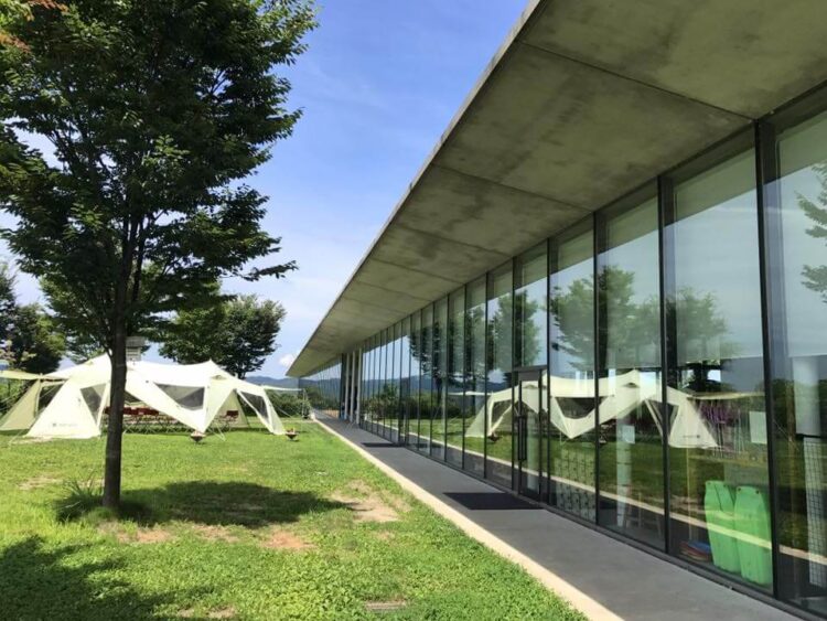 【厳選18選】新潟観光で絶対に訪れるべき観光スポットと街歩きのコツ