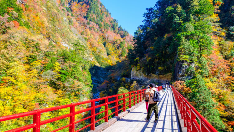【厳選12選】富山観光で絶対に訪れるべき観光スポットと街歩きのコツ