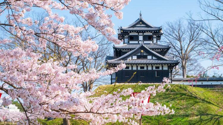 【厳選18選】新潟観光で絶対に訪れるべき観光スポットと街歩きのコツ