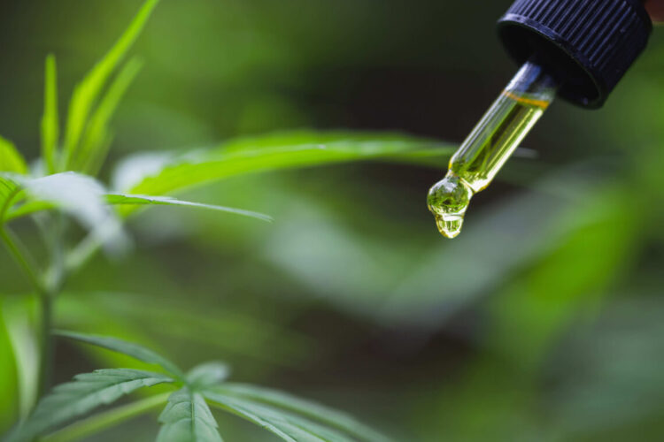 CBD Oil in Japan Your 2026 Guide to Top Brands, Benefits, and How to Use