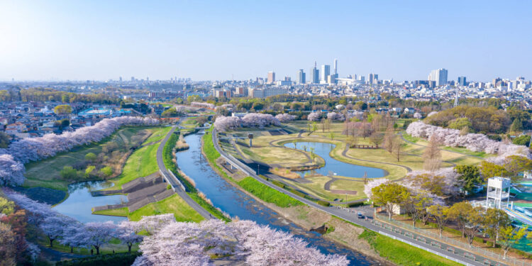 【保存版】埼玉観光おすすめスポット5選と食べ歩きの魅力