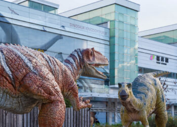 【2026最新】福井観光完全ガイド！恐竜・グルメ・移動手段を徹底解説