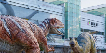 【2026最新】福井観光完全ガイド！恐竜・グルメ・移動手段を徹底解説