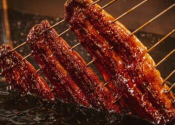 Tokyo’s Best Unagi Restaurants: Top 5 Picks, How to Spot a Great Eel Restaurant & the Full History